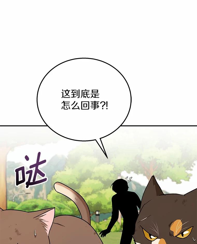 《你好？兽医先生！》27.流浪猫的生活 第80页
