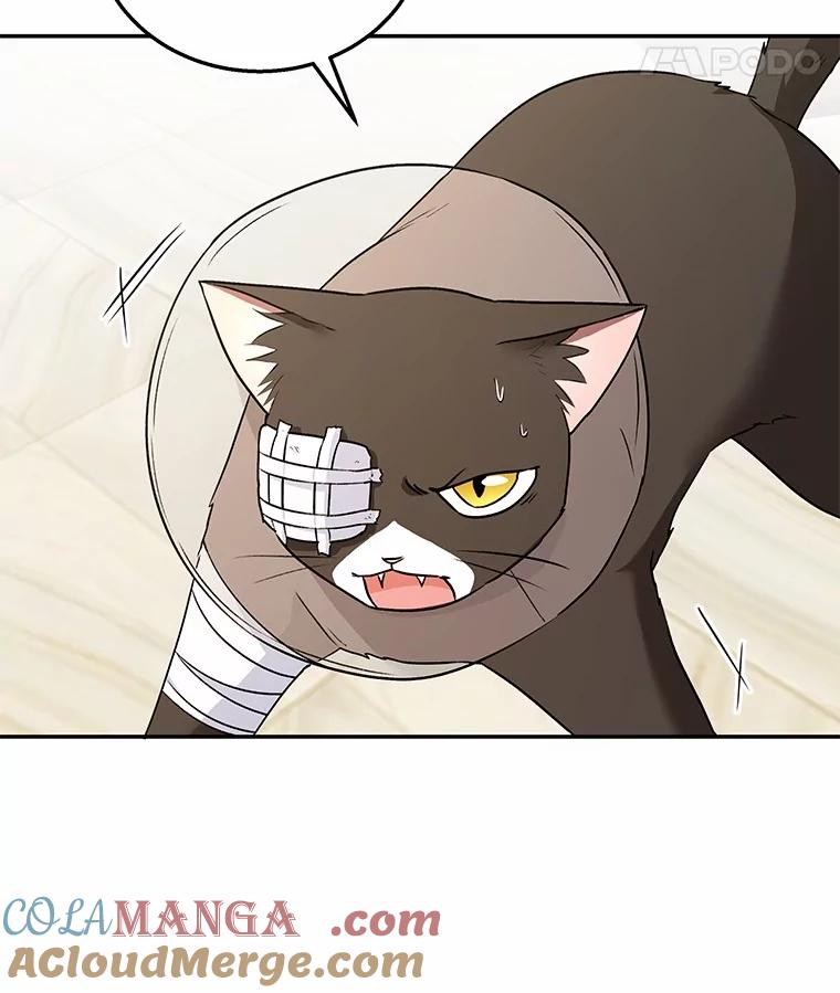《你好？兽医先生！》27.流浪猫的生活 第109页