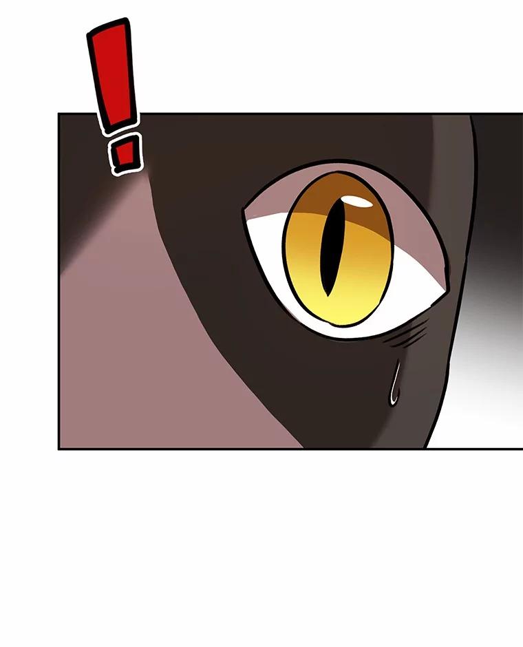 《你好？兽医先生！》27.流浪猫的生活 第58页
