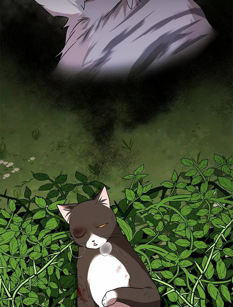 《你好？兽医先生！》27.流浪猫的生活 第74页