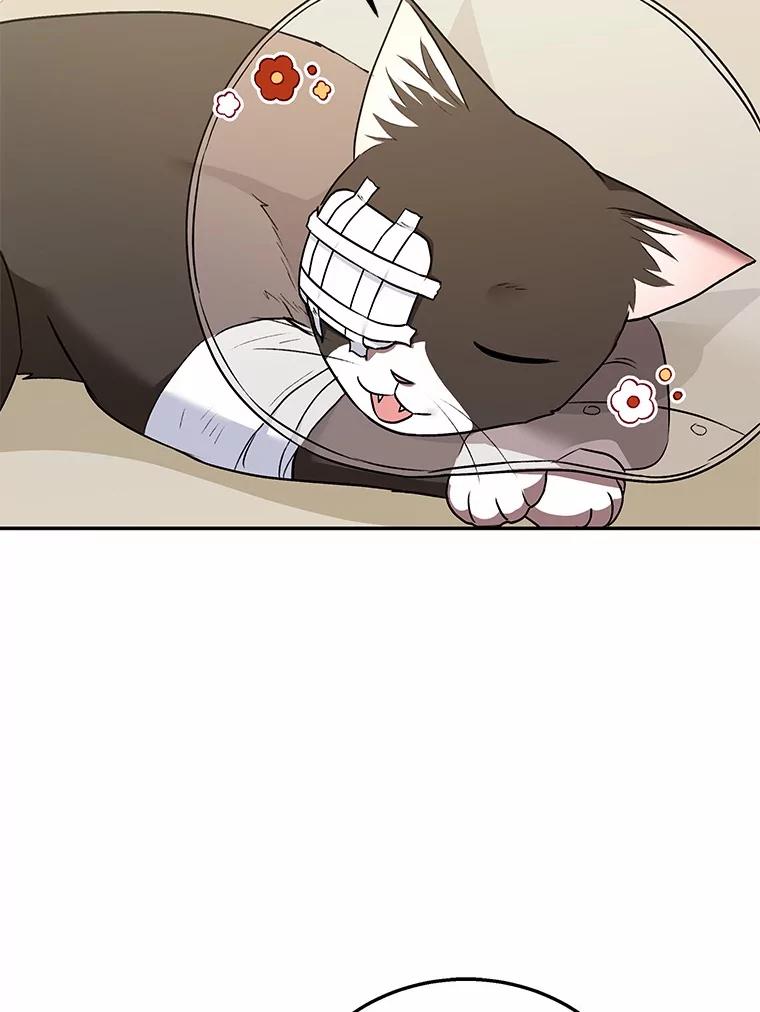 《你好？兽医先生！》27.流浪猫的生活 第98页