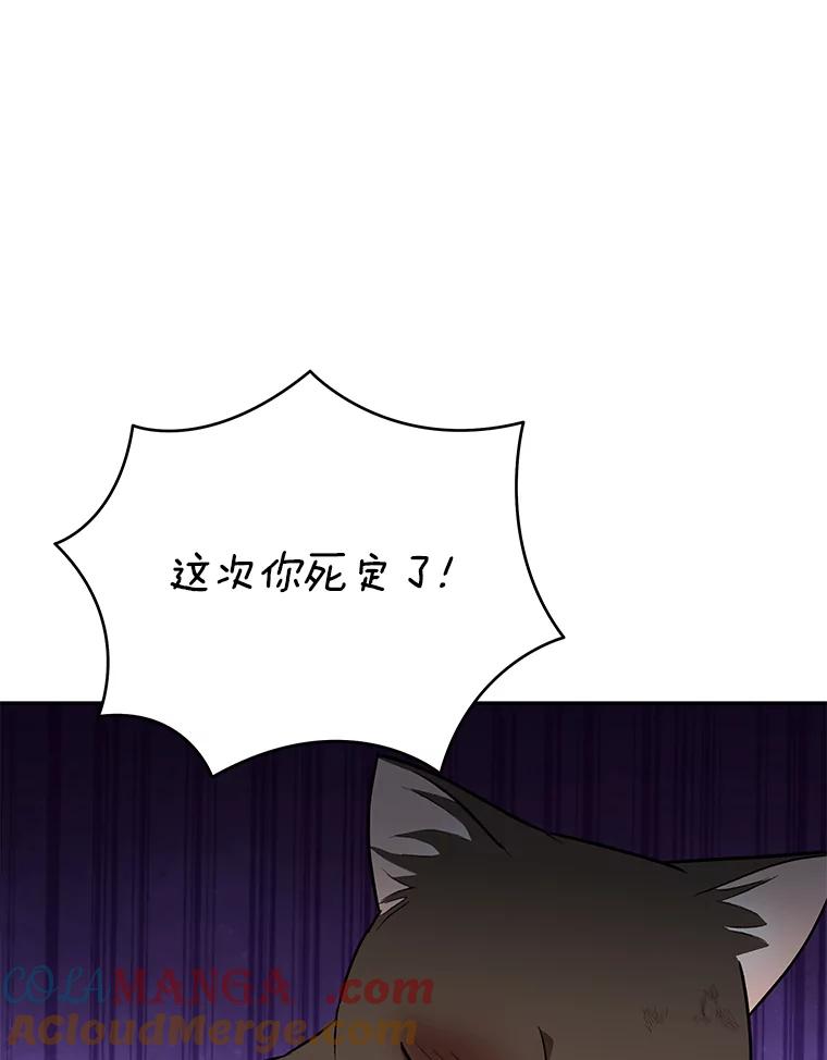 《你好？兽医先生！》27.流浪猫的生活 第37页