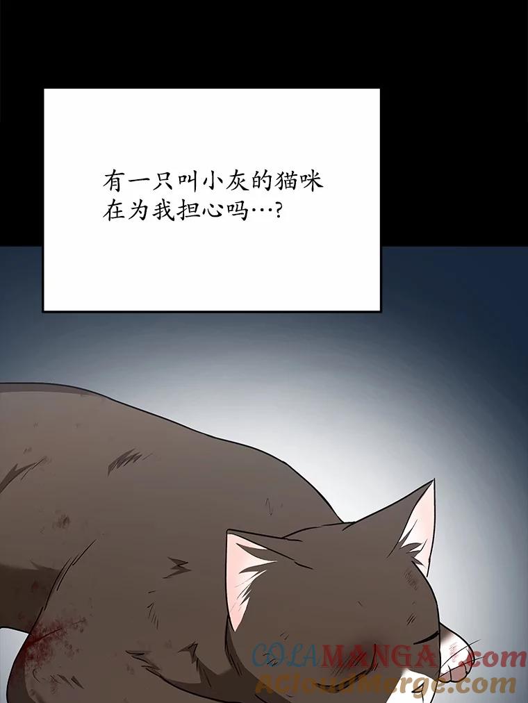 《你好？兽医先生！》27.流浪猫的生活 第93页