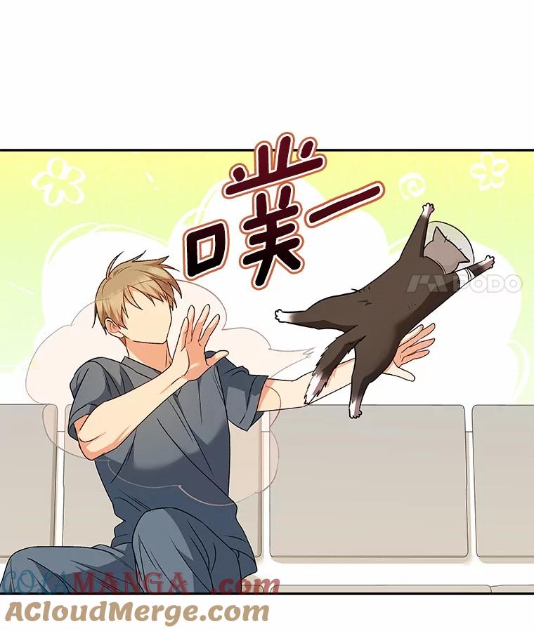 《你好？兽医先生！》27.流浪猫的生活 第105页