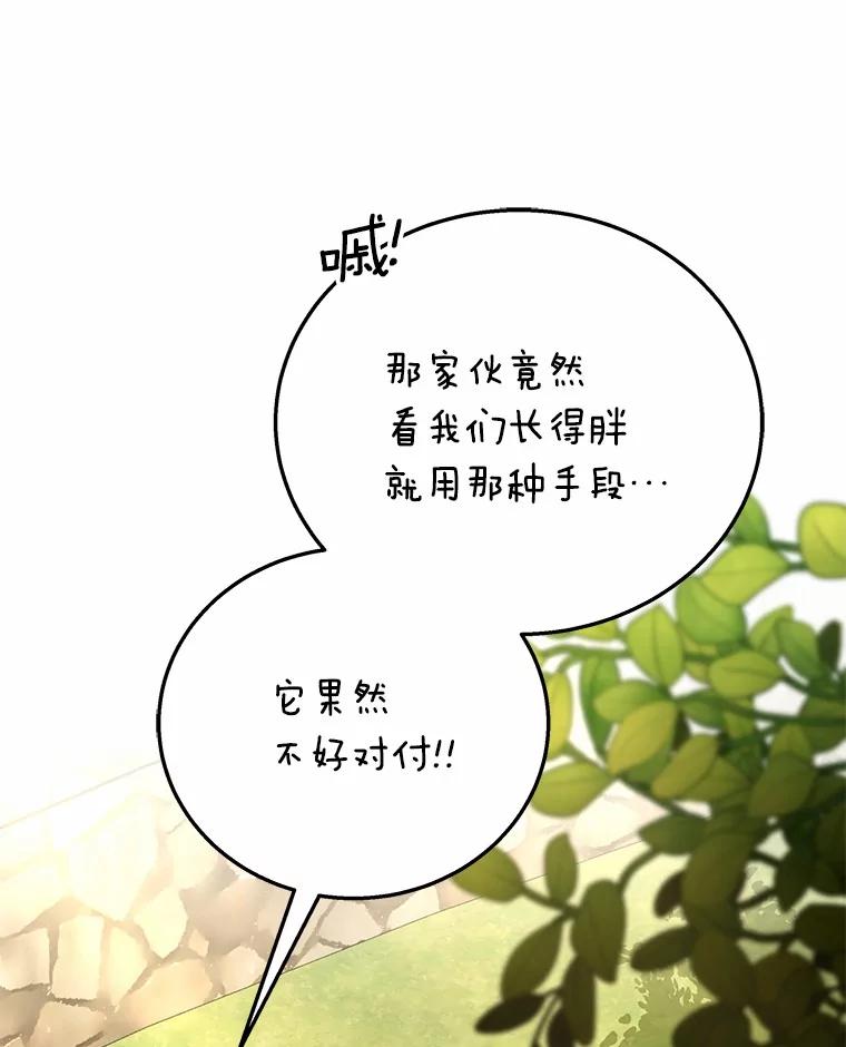《你好？兽医先生！》27.流浪猫的生活 第51页