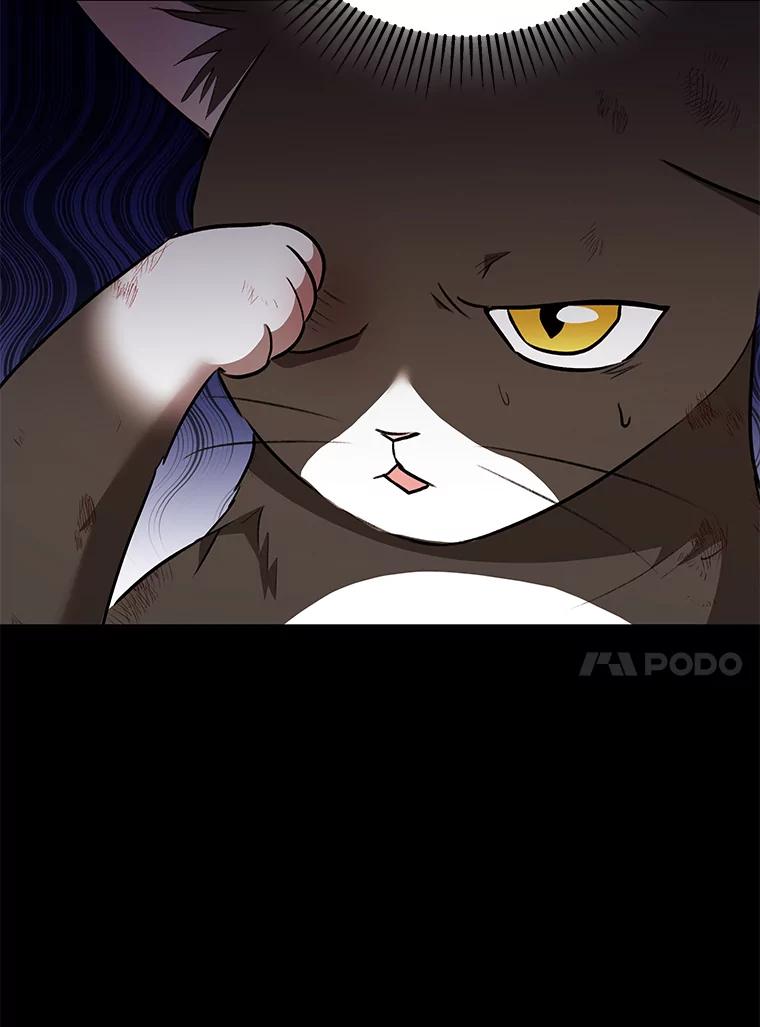 《你好？兽医先生！》27.流浪猫的生活 第72页