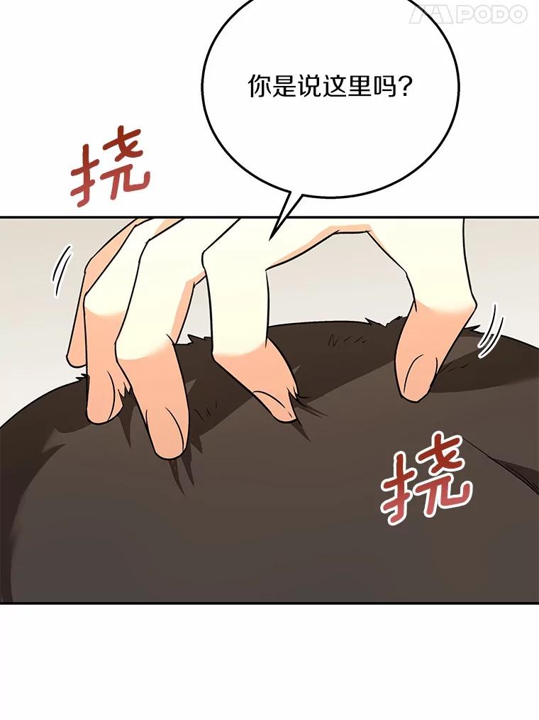 《你好？兽医先生！》27.流浪猫的生活 第99页