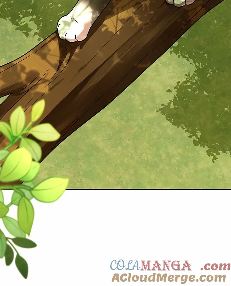 《你好？兽医先生！》27.流浪猫的生活 第53页
