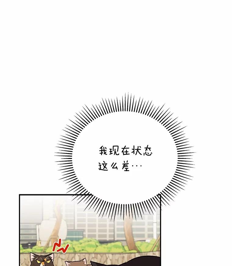 《你好？兽医先生！》27.流浪猫的生活 第39页