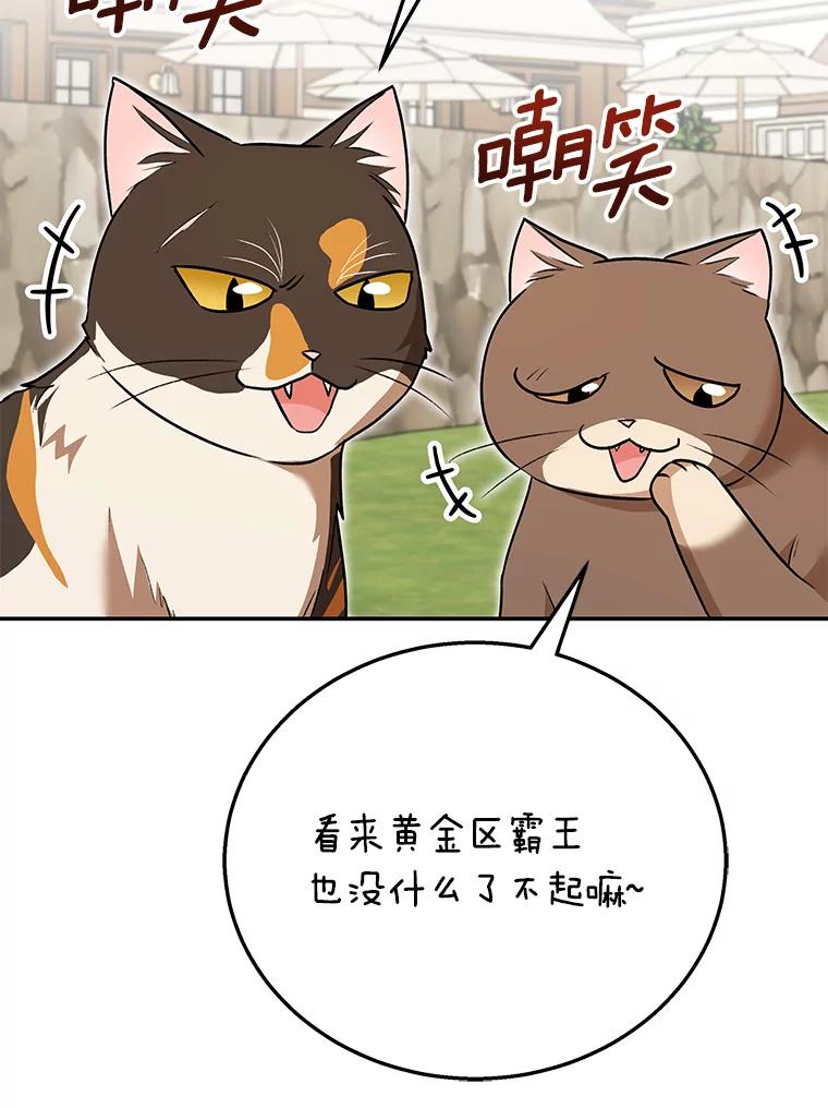 《你好？兽医先生！》27.流浪猫的生活 第70页