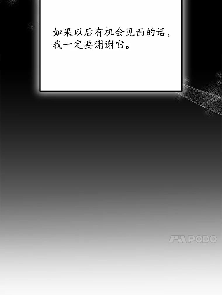 《你好？兽医先生！》27.流浪猫的生活 第95页