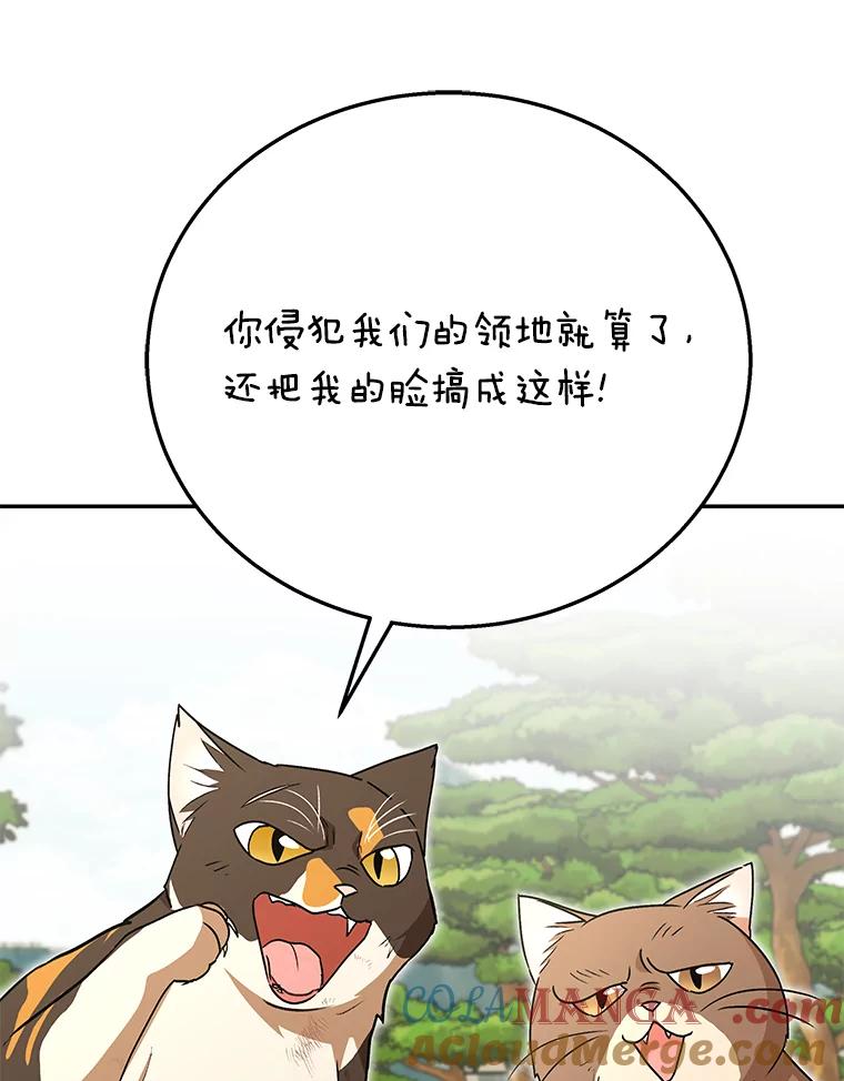 《你好？兽医先生！》27.流浪猫的生活 第33页