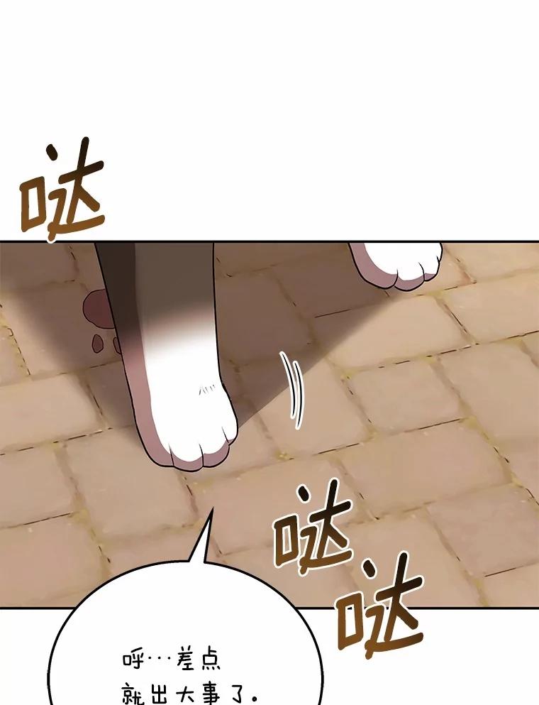 《你好？兽医先生！》27.流浪猫的生活 第12页