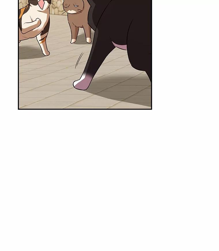《你好？兽医先生！》27.流浪猫的生活 第40页