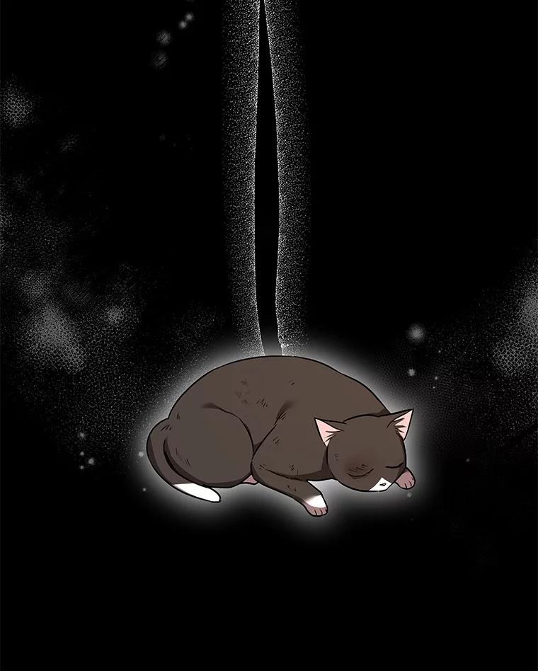 《你好？兽医先生！》27.流浪猫的生活 第88页