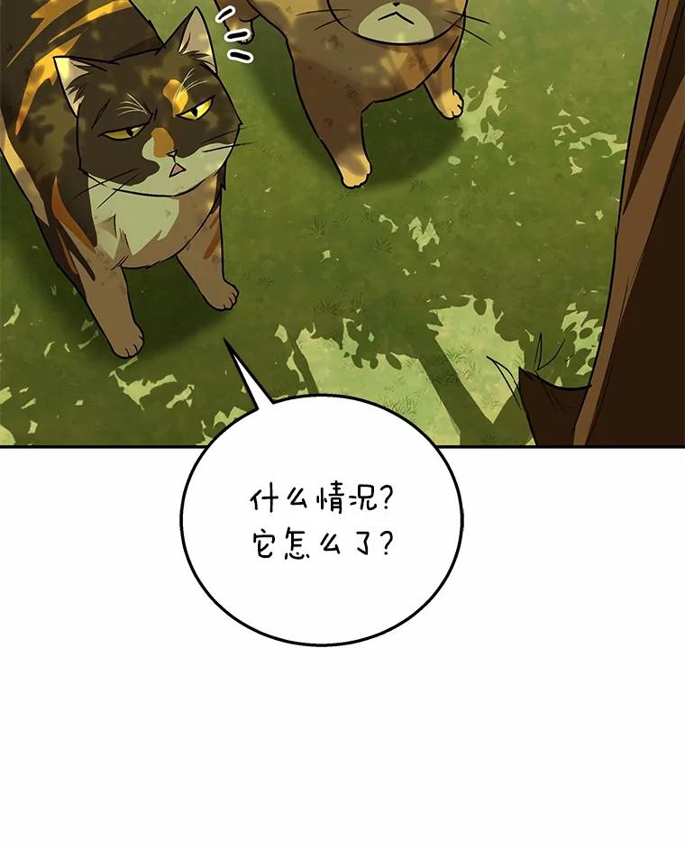 《你好？兽医先生！》27.流浪猫的生活 第60页