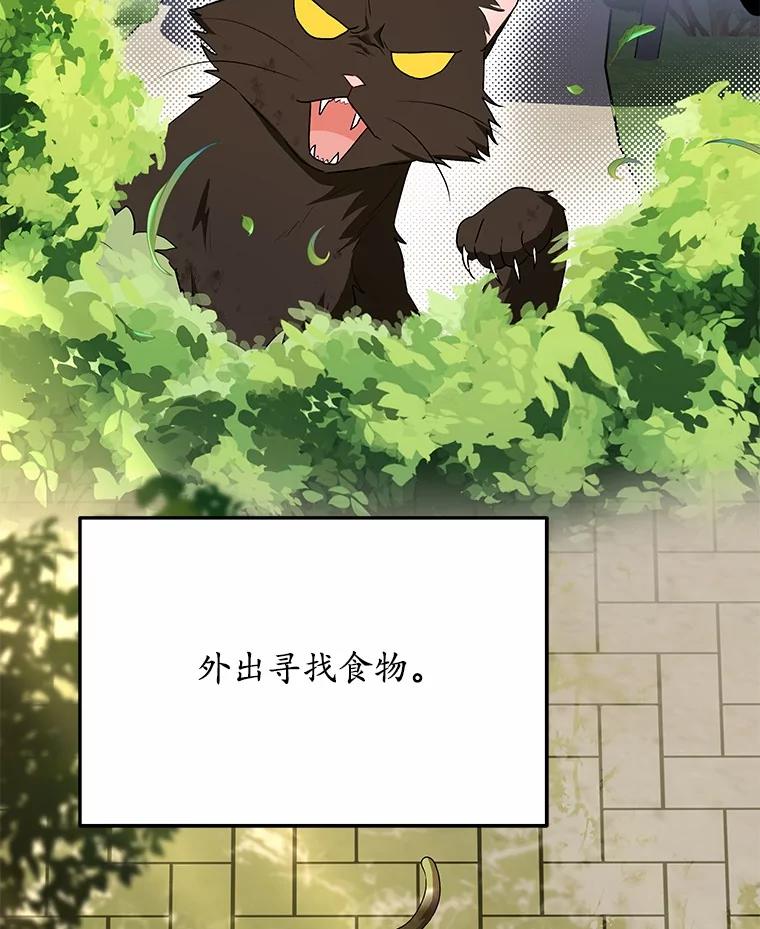 《你好？兽医先生！》27.流浪猫的生活 第3页