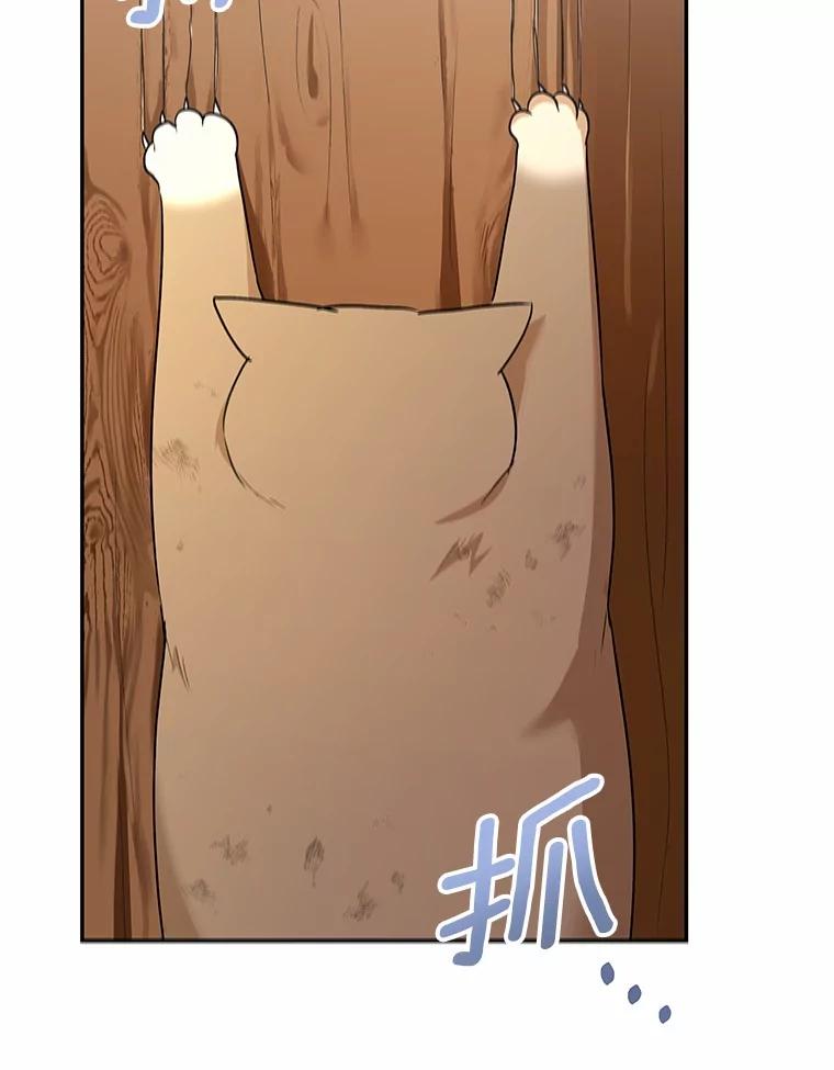 《你好？兽医先生！》27.流浪猫的生活 第48页