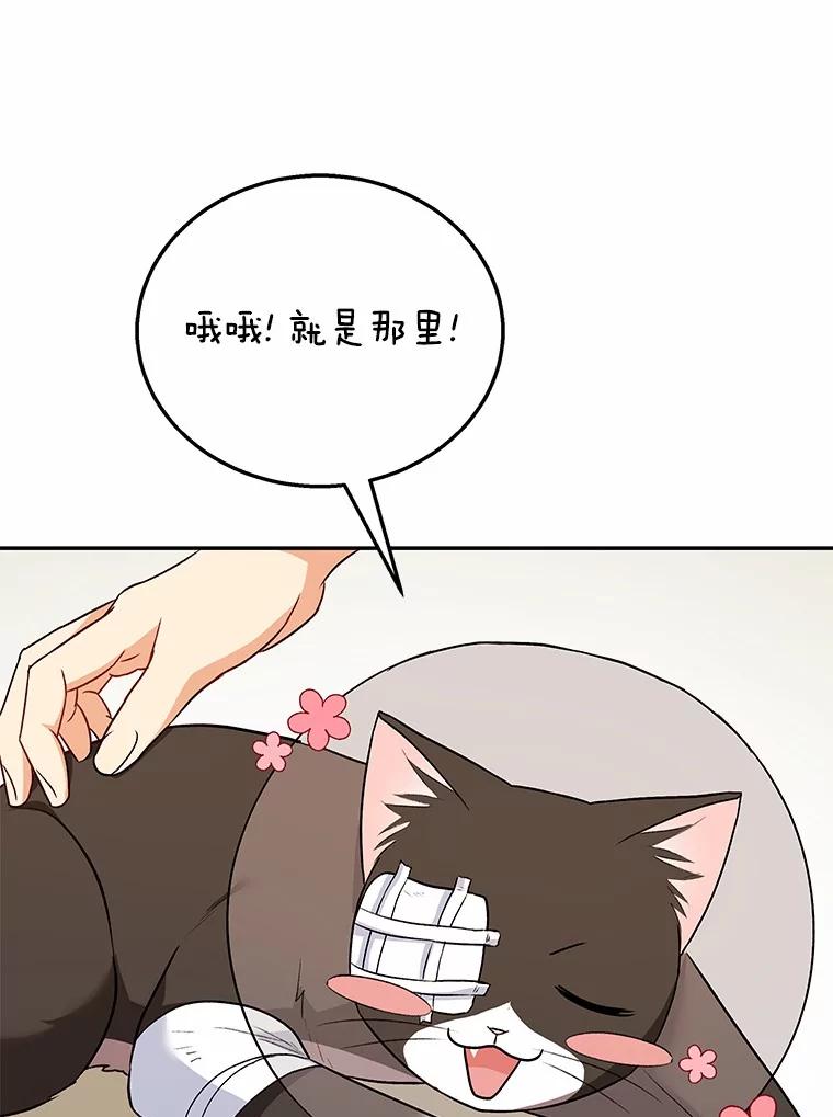 《你好？兽医先生！》27.流浪猫的生活 第100页