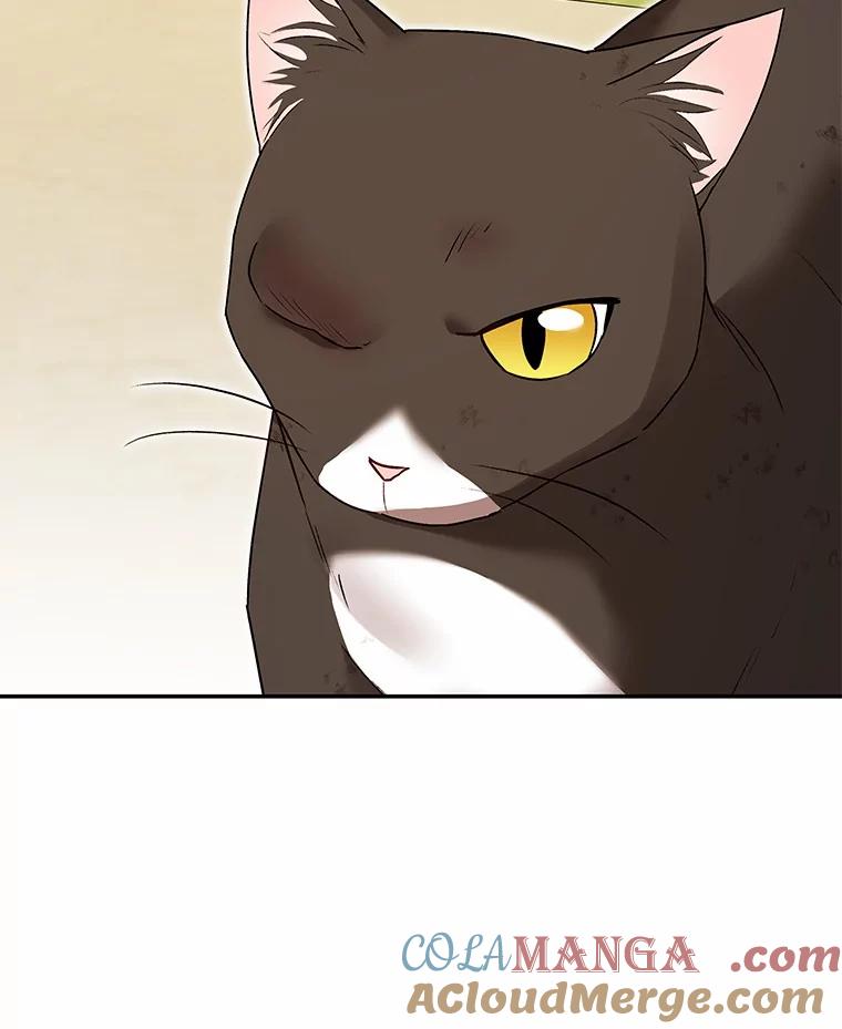 《你好？兽医先生！》27.流浪猫的生活 第9页