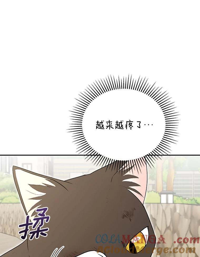《你好？兽医先生！》27.流浪猫的生活 第29页