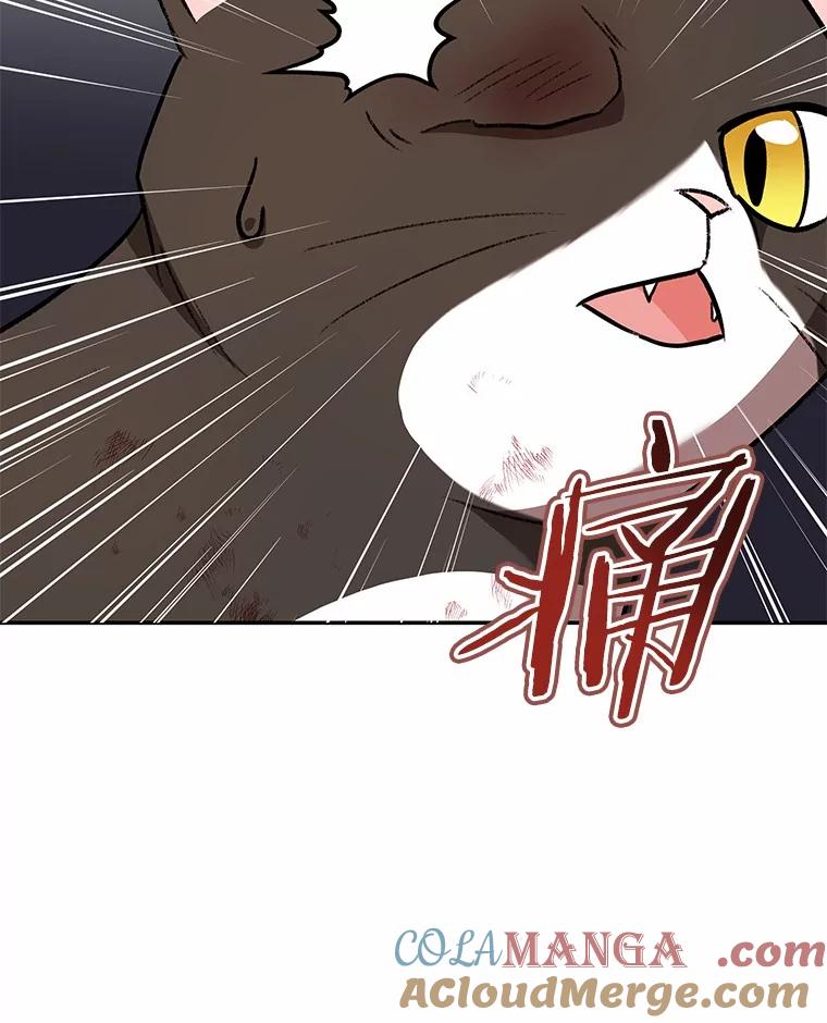 《你好？兽医先生！》27.流浪猫的生活 第57页