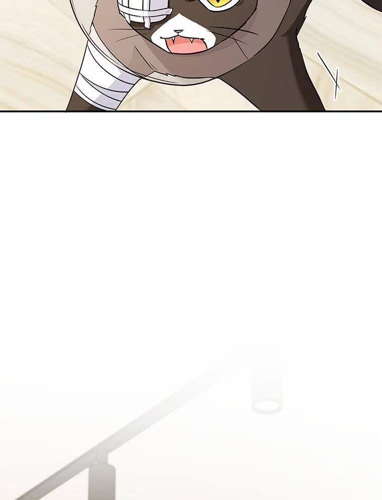 《你好？兽医先生！》28.救命恩人 第2页