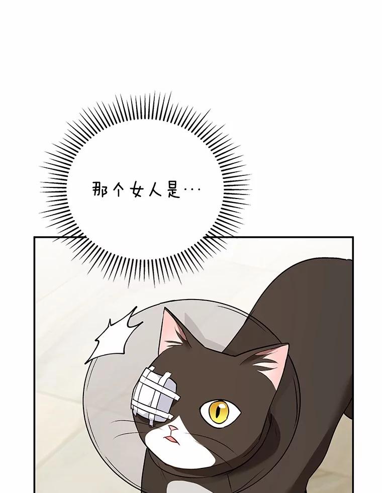 《你好？兽医先生！》28.救命恩人 第17页
