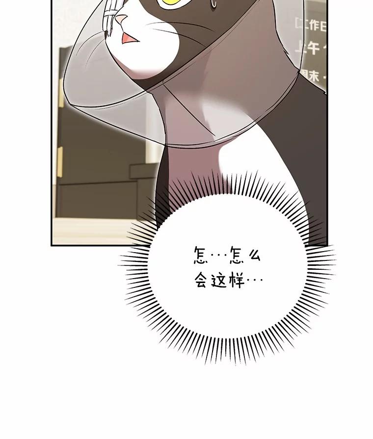 《你好？兽医先生！》28.救命恩人 第11页