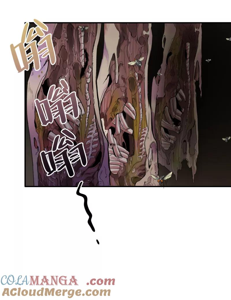 《祥瑞按察录》第一案 天降祥云（六） 第46页
