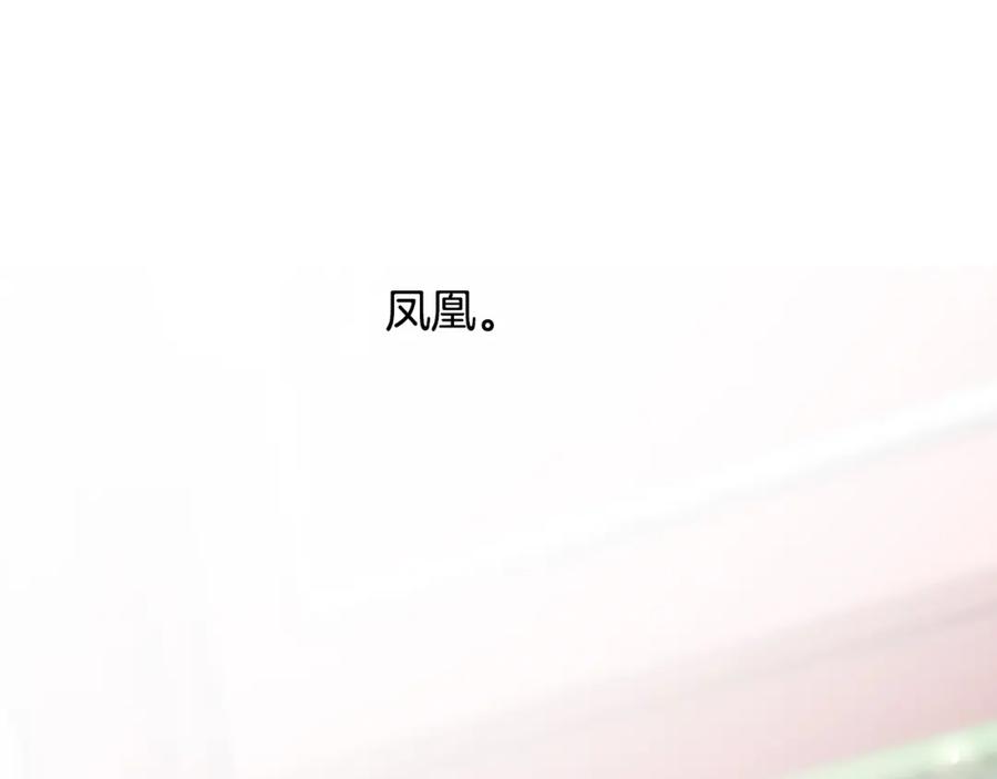 《凤凰血》第23话 福祸相依 第146页