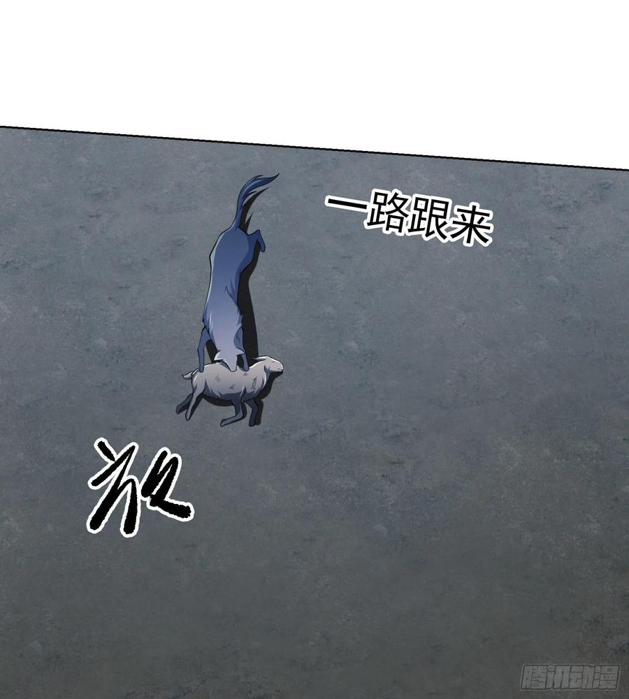 第一序列 第99话 99 昆山狼王 第42页