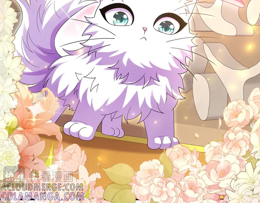 我把自己献给了双胞胎妹妹 大祭司 第25页