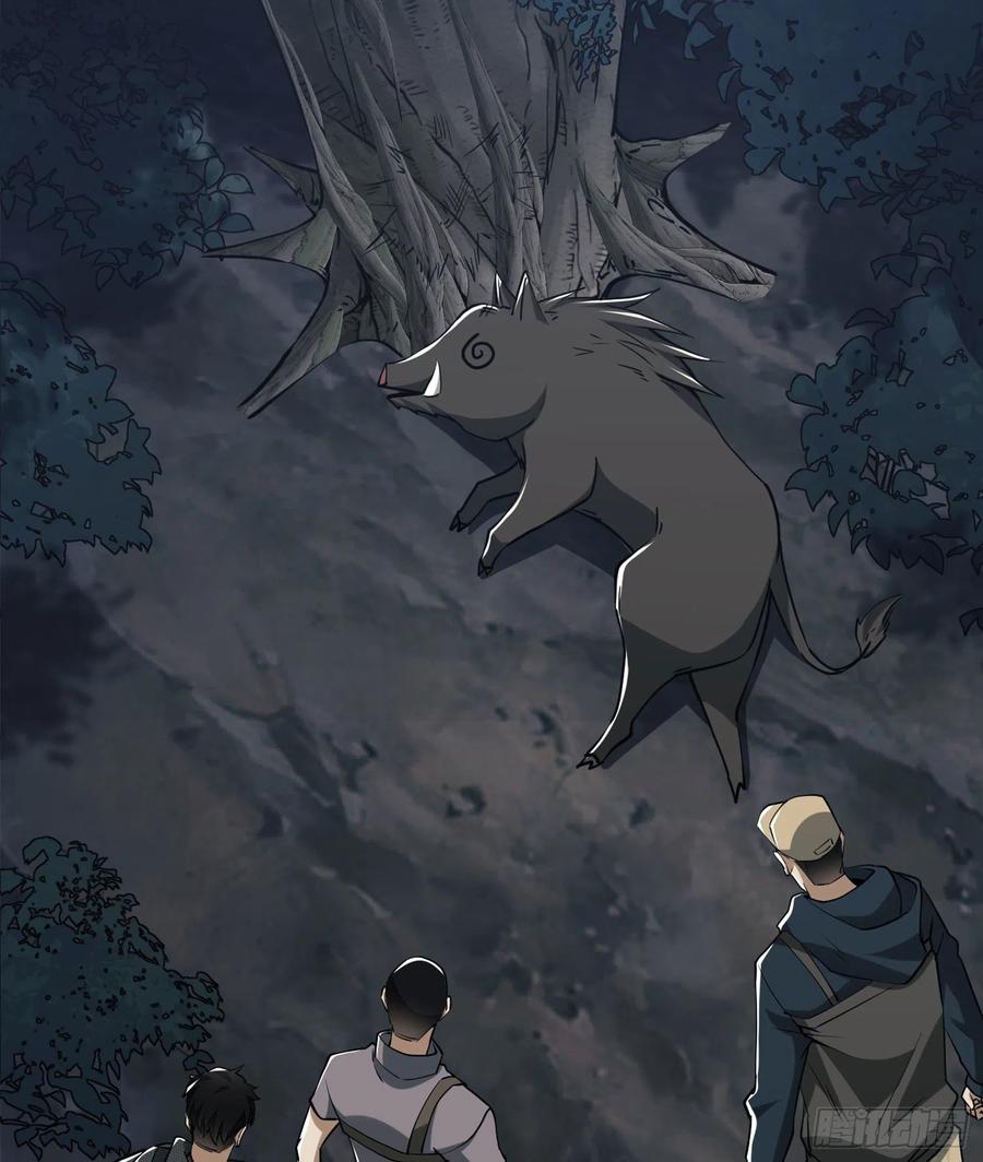 第一序列 第25话 25 猪撞树上了 第71页
