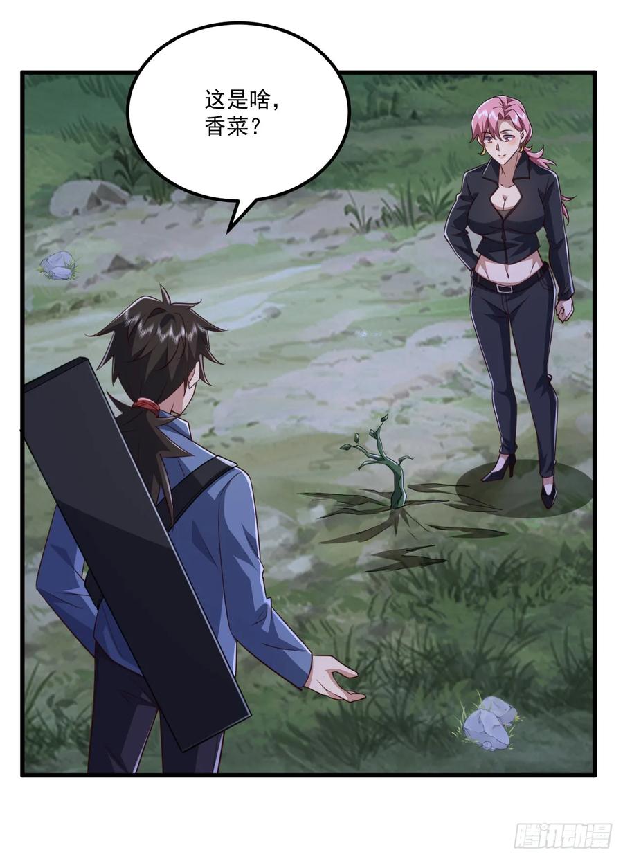 第一序列 第265话 264 潜入壁垒 第38页