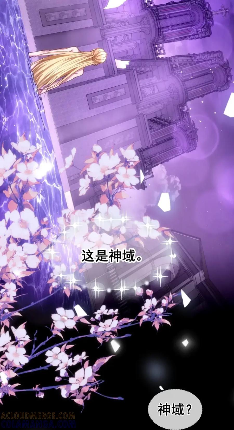 圣子殿下竟被肆意标记 - 017 幻境 - 第4张图