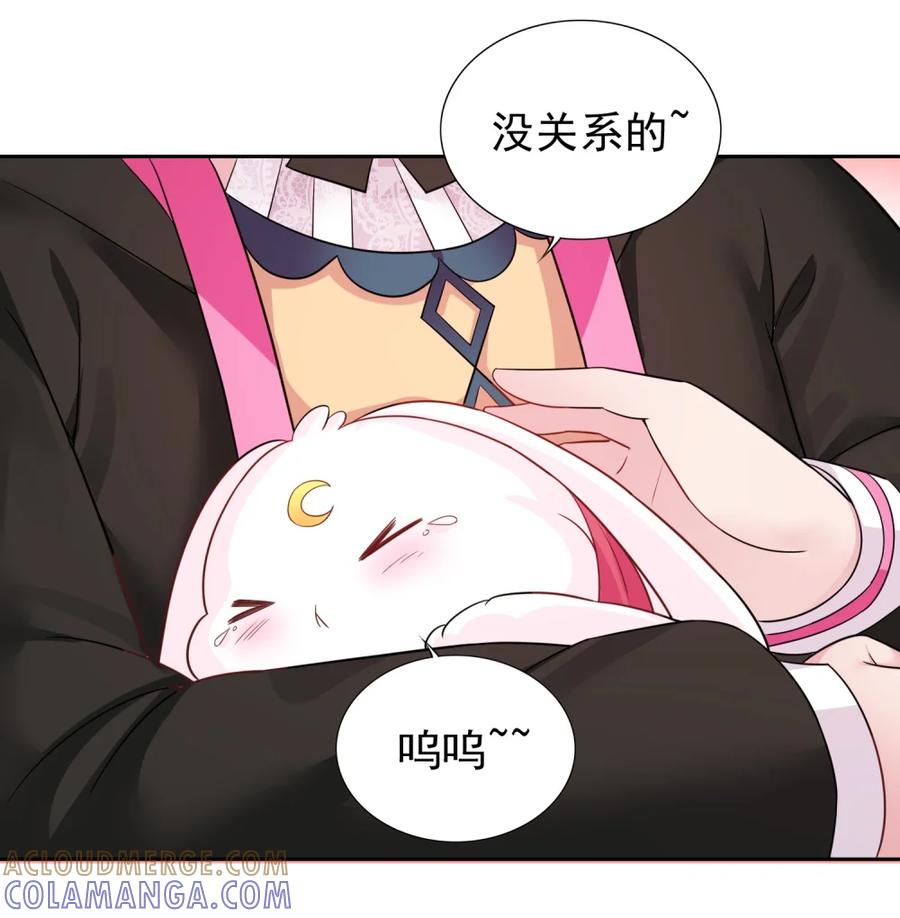 《完蛋，我被自己养的宠兽包围了！》3 巨型月光兔vs八足蛛 第34页