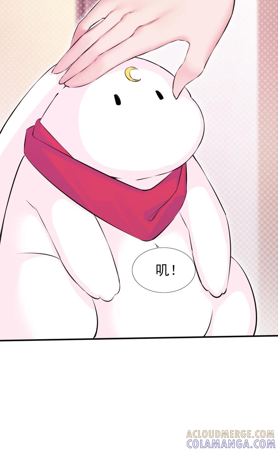 《完蛋，我被自己养的宠兽包围了！》8 百宠大逃杀 第19页