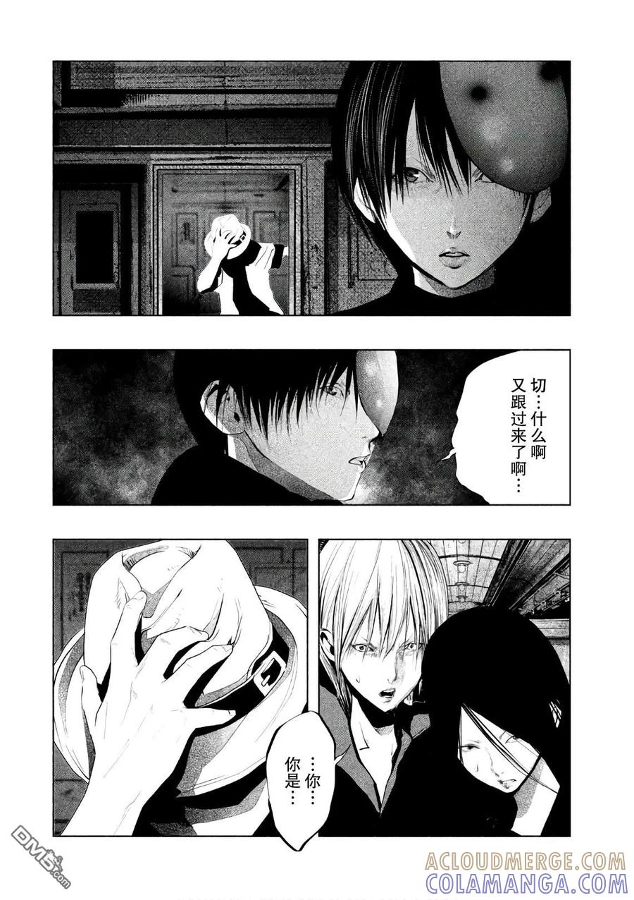 《当无火葬场的小镇里钟声鸣响时》第169话 同行之旅 第10页