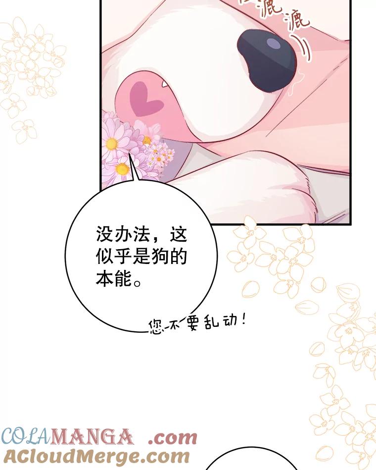 只需轻握我的手 17.幸福 第61页