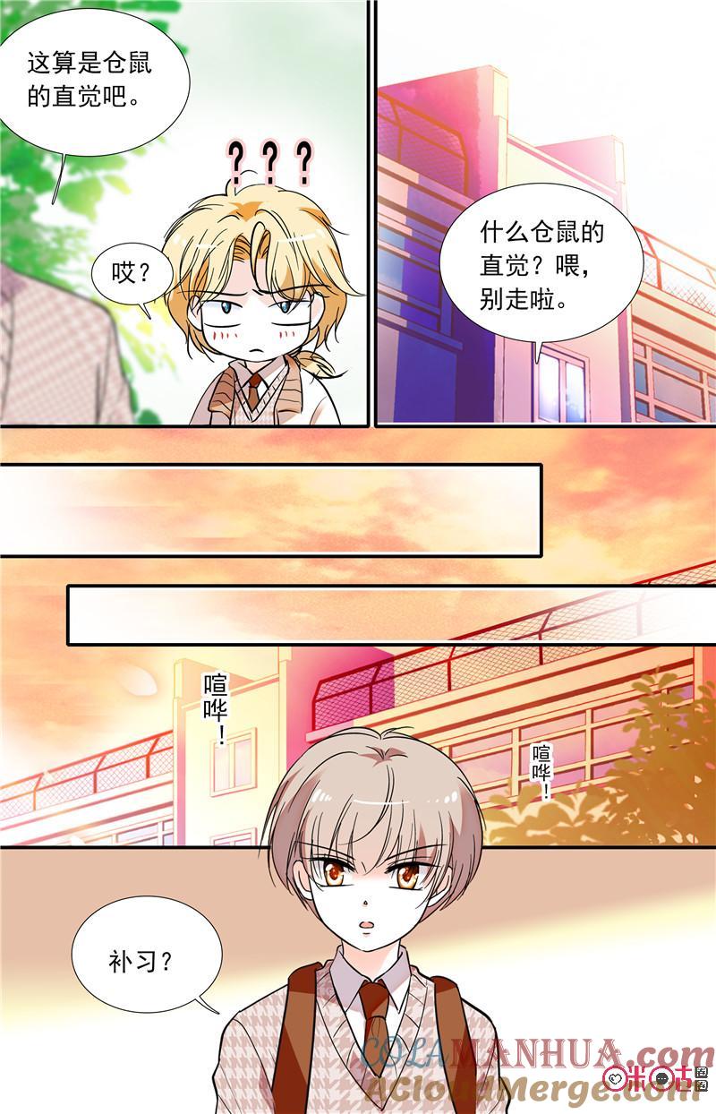 《青柠之夏》第二部122下：仓鼠直觉 第8页