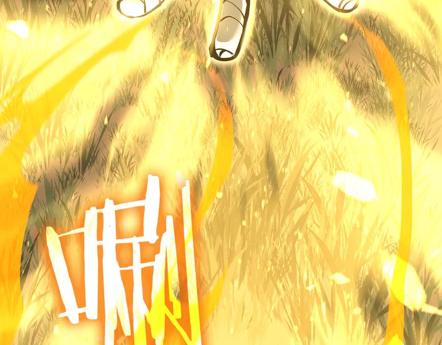 《重生后成为FFF级巫医》第52话 完全被记仇了 第210页