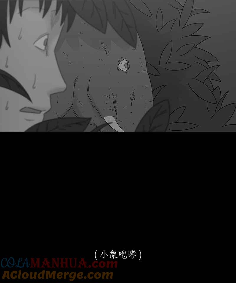 黑盒子 [第201话] 摄象者(4) 第31页