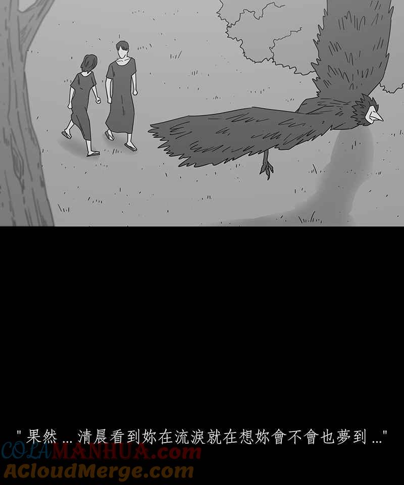 黑盒子 [第218话] 鸟族(6) 第12页