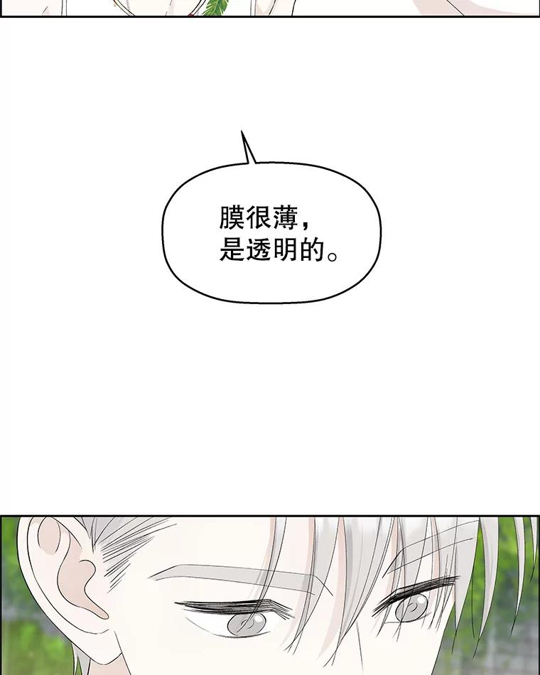 《替吸血鬼吃饭的我》22.薄荷巧克力闯祸了~ 第35页