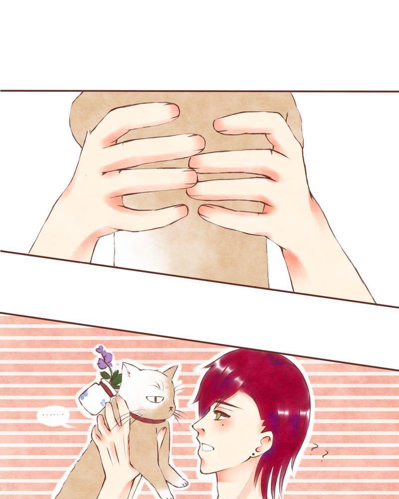 《吸血鬼同居中》14 第12页
