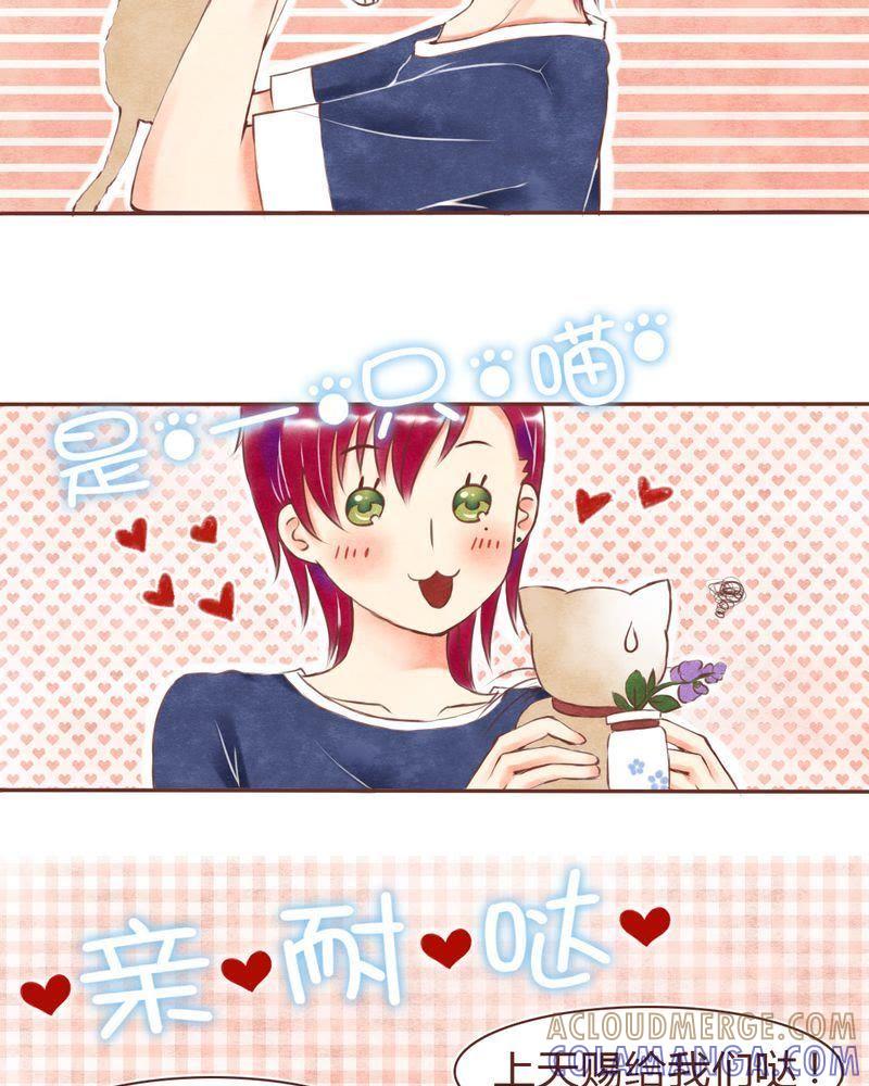 《吸血鬼同居中》14 第13页