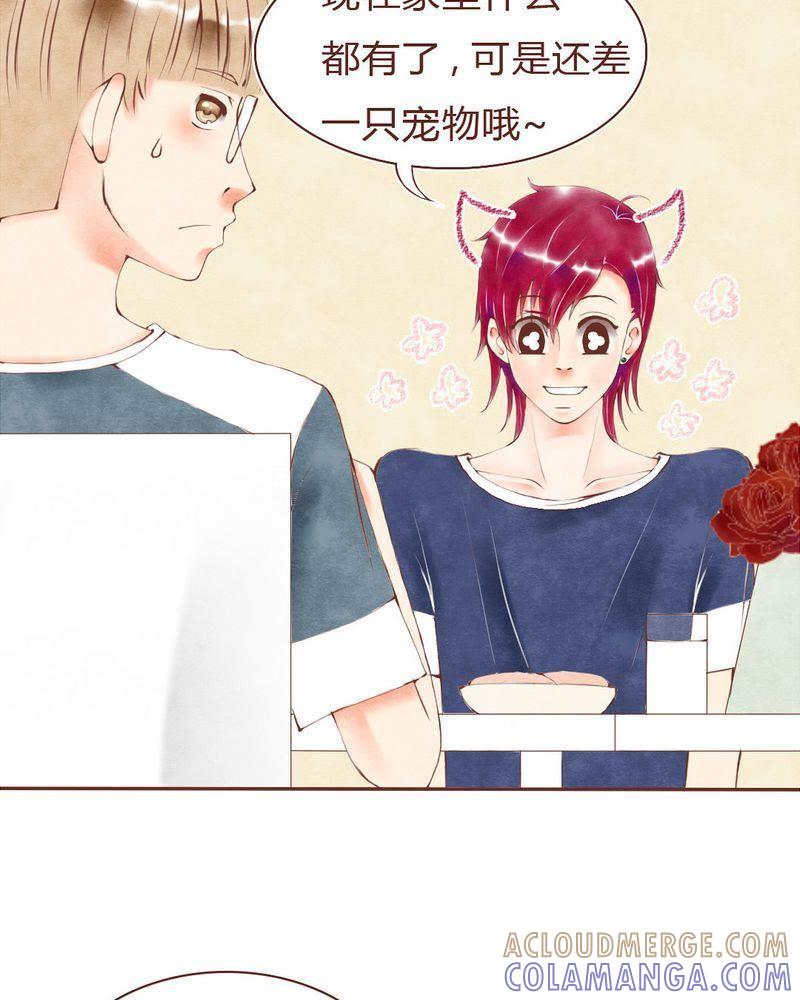 《吸血鬼同居中》14 第5页
