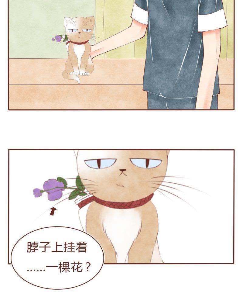 《吸血鬼同居中》15 第10页