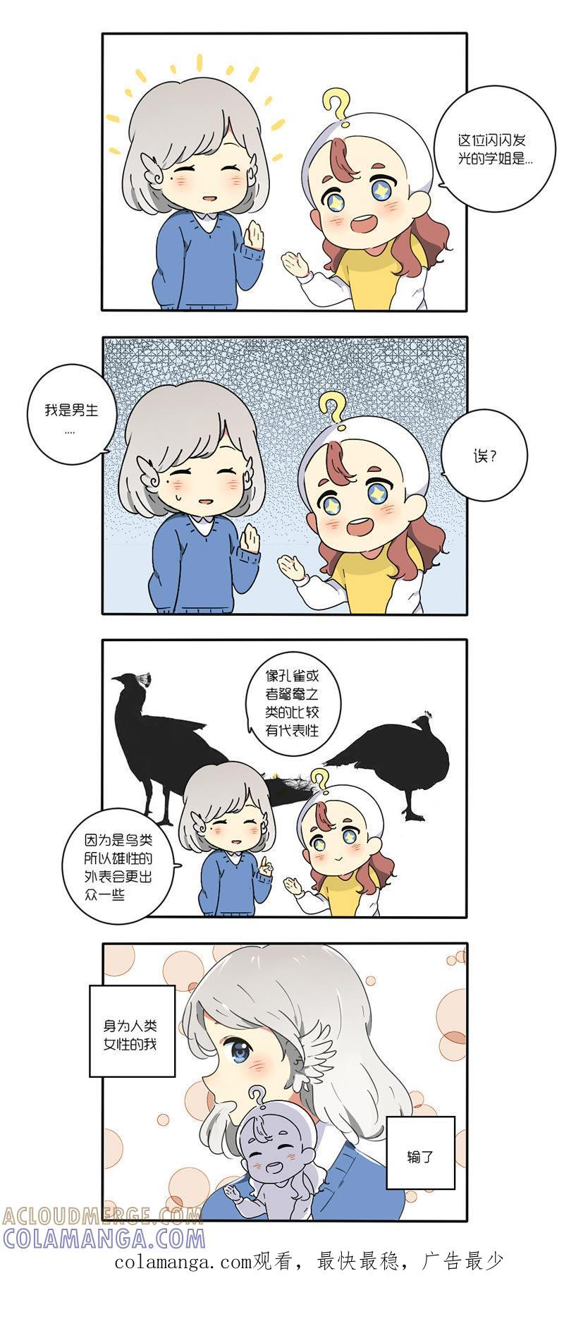 《动物系恋爱手帐》节日番外篇 第4页